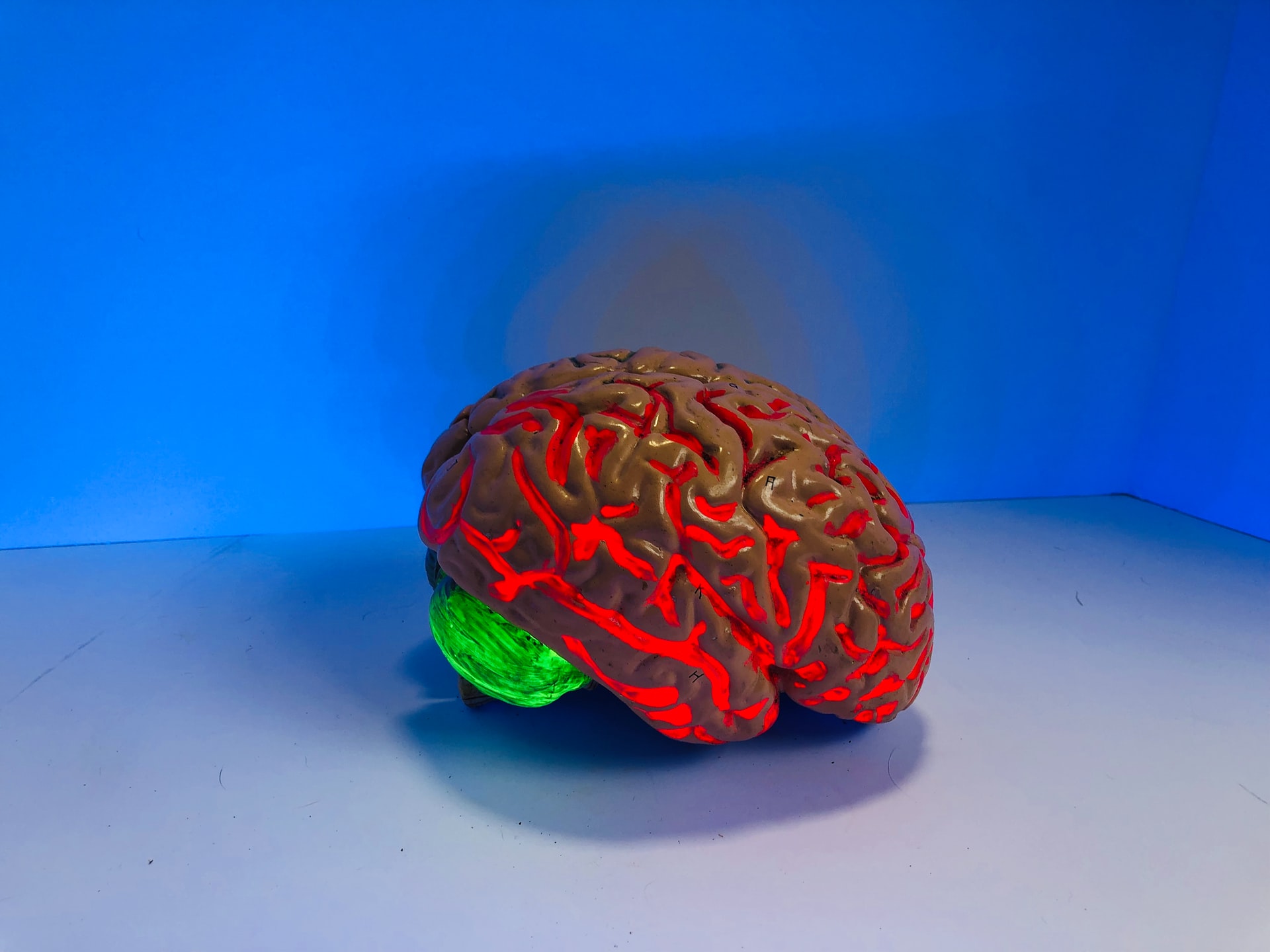 rotes Gehirn, blauer Hintergrund, Demenz, 24 Stunden Betreuung